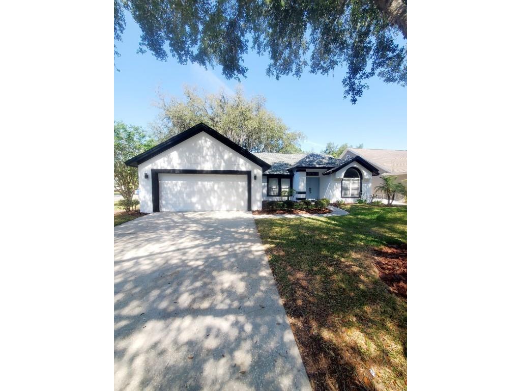 16102 Dowling Court Tampa FL 33647 T3522742 image1