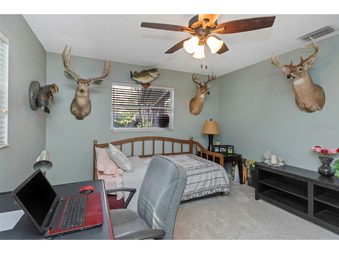 16103 Armistead Lane Odessa FL 33556 - LAKE ARMISTEAD TB8447714 image56