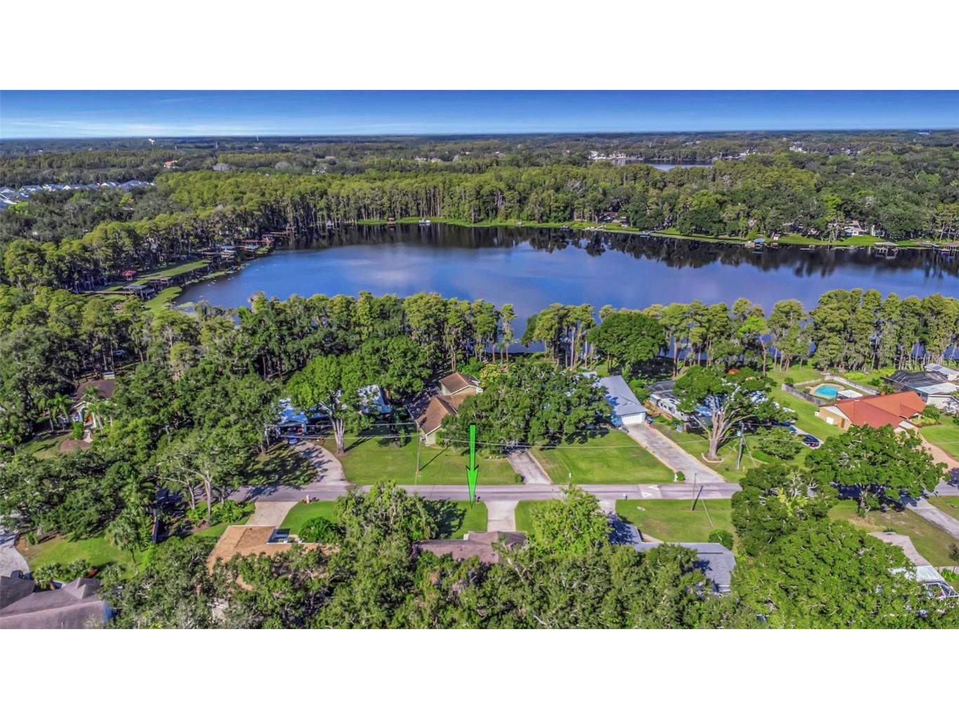 16103 Armistead Lane Odessa FL 33556 - LAKE ARMISTEAD TB8447714 image78