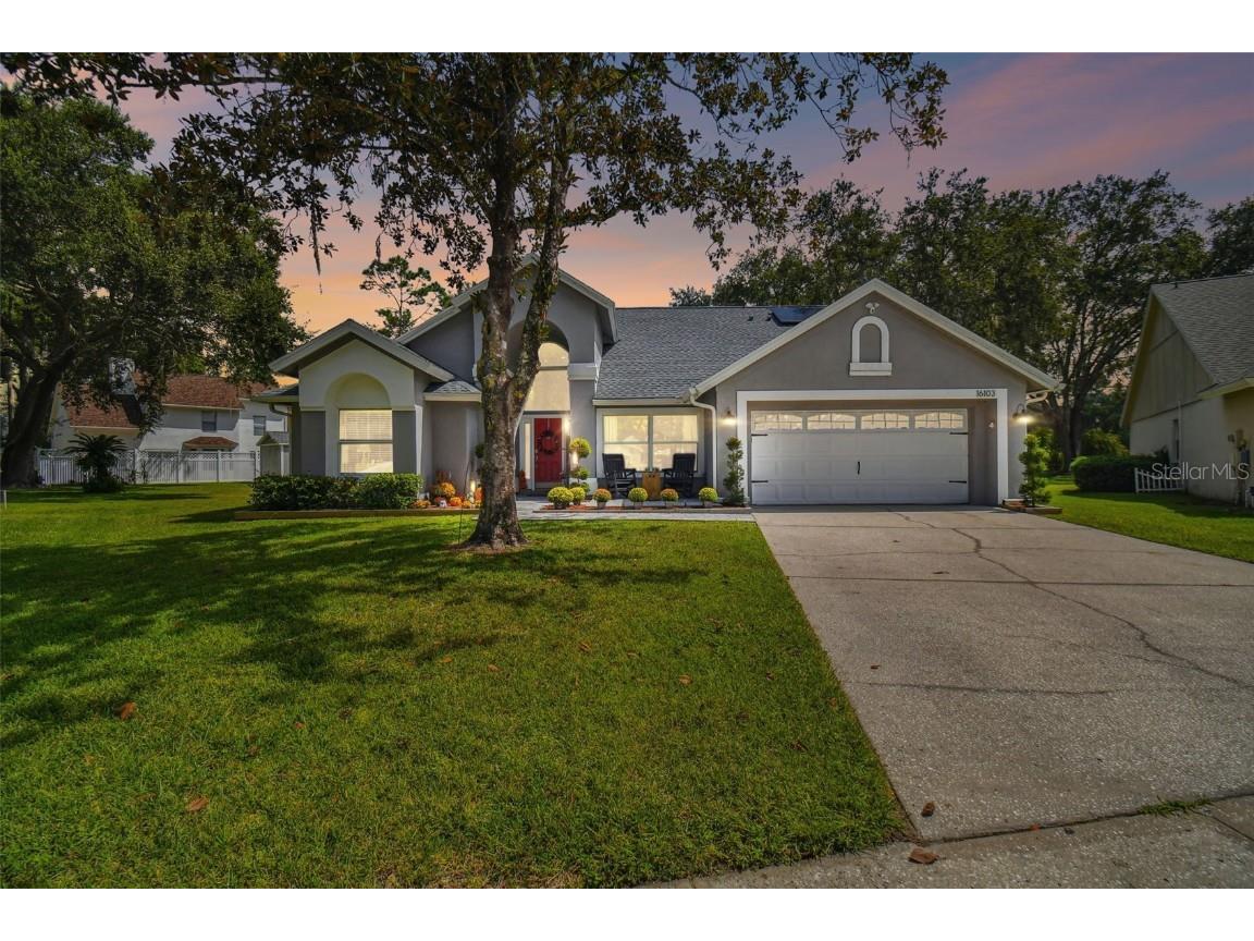 16103 Canton Court Tampa FL 33647 U8215022 image1