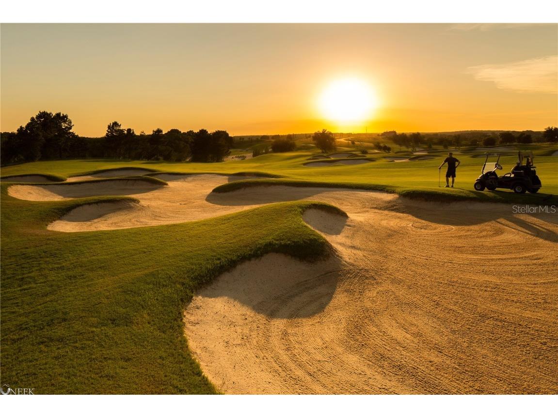 16103 Pendio Drive Montverde FL 34756 - LAKE SIENA G5101161 image7