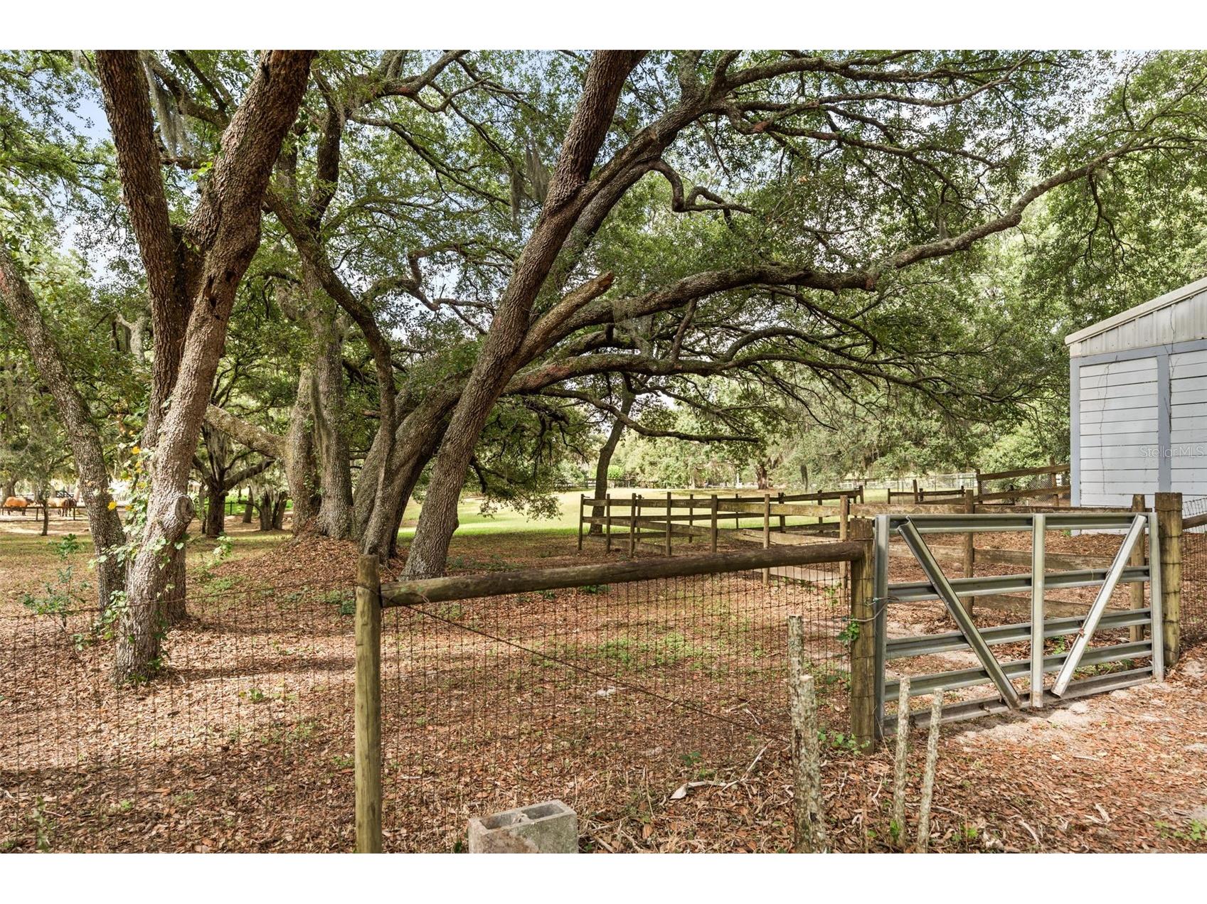 16104 Sandhill Road Winter Garden FL 34787 O6411589 image28
