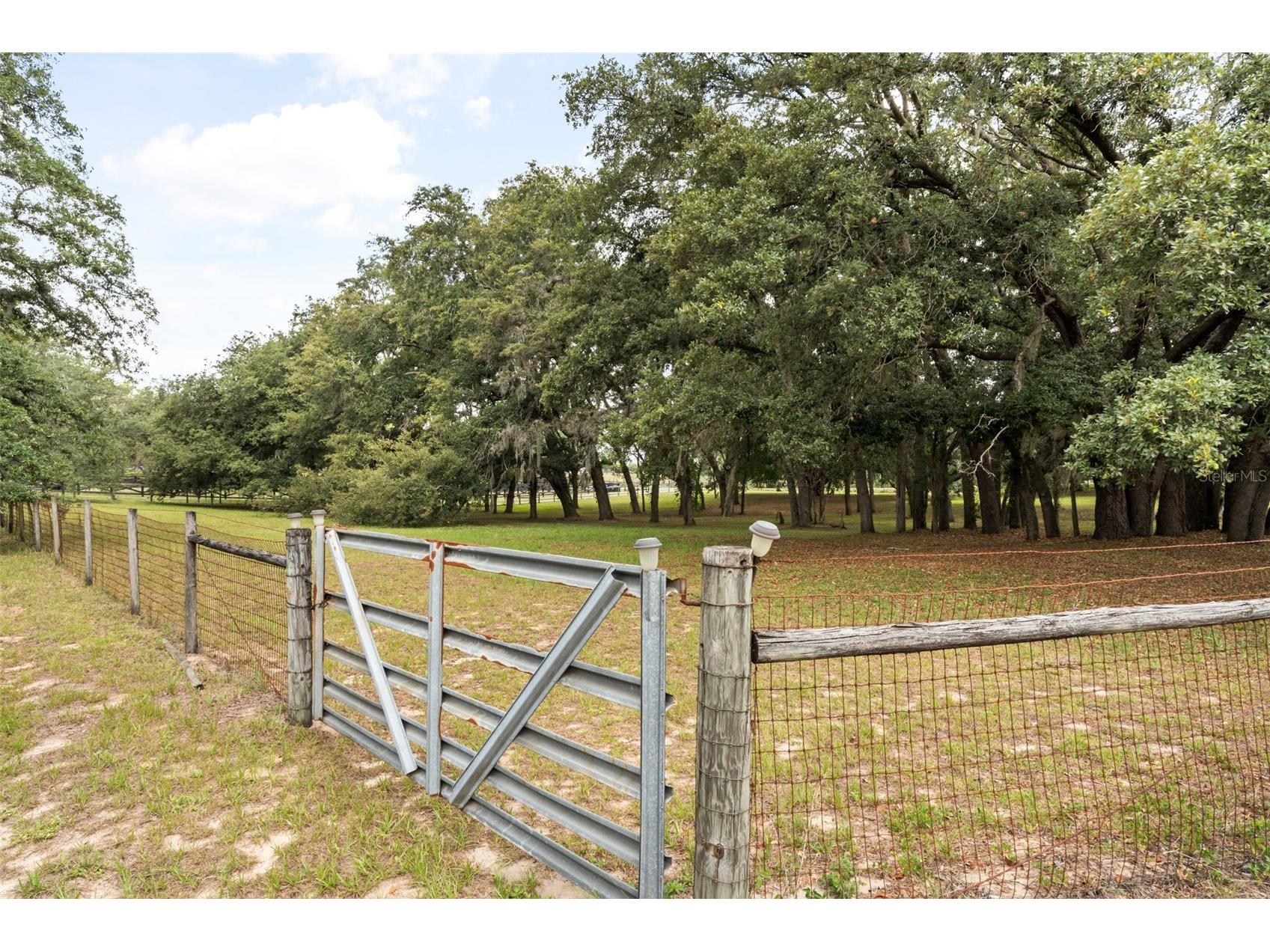 16104 Sandhill Road Winter Garden FL 34787 O6411589 image29
