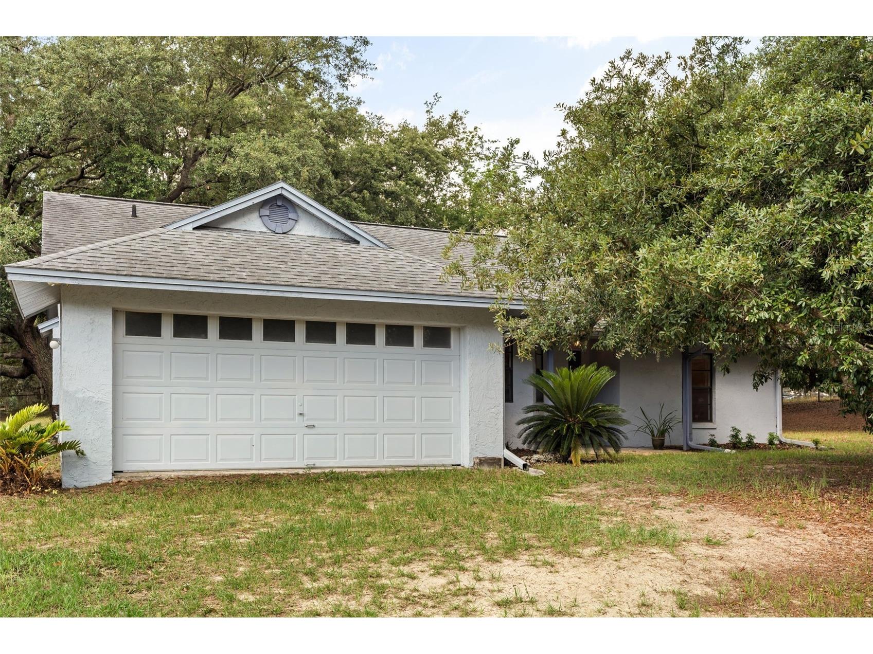16104 Sandhill Road Winter Garden FL 34787 O6411589 image3