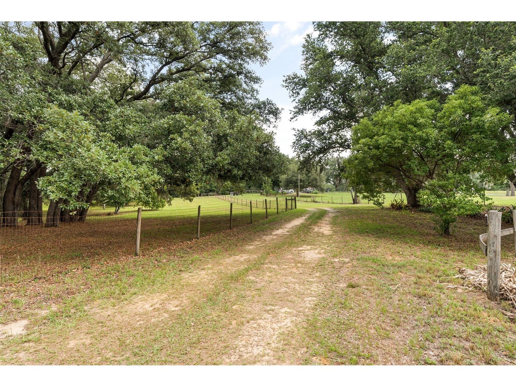 16104 Sandhill Road Winter Garden FL 34787 O6411589 image7
