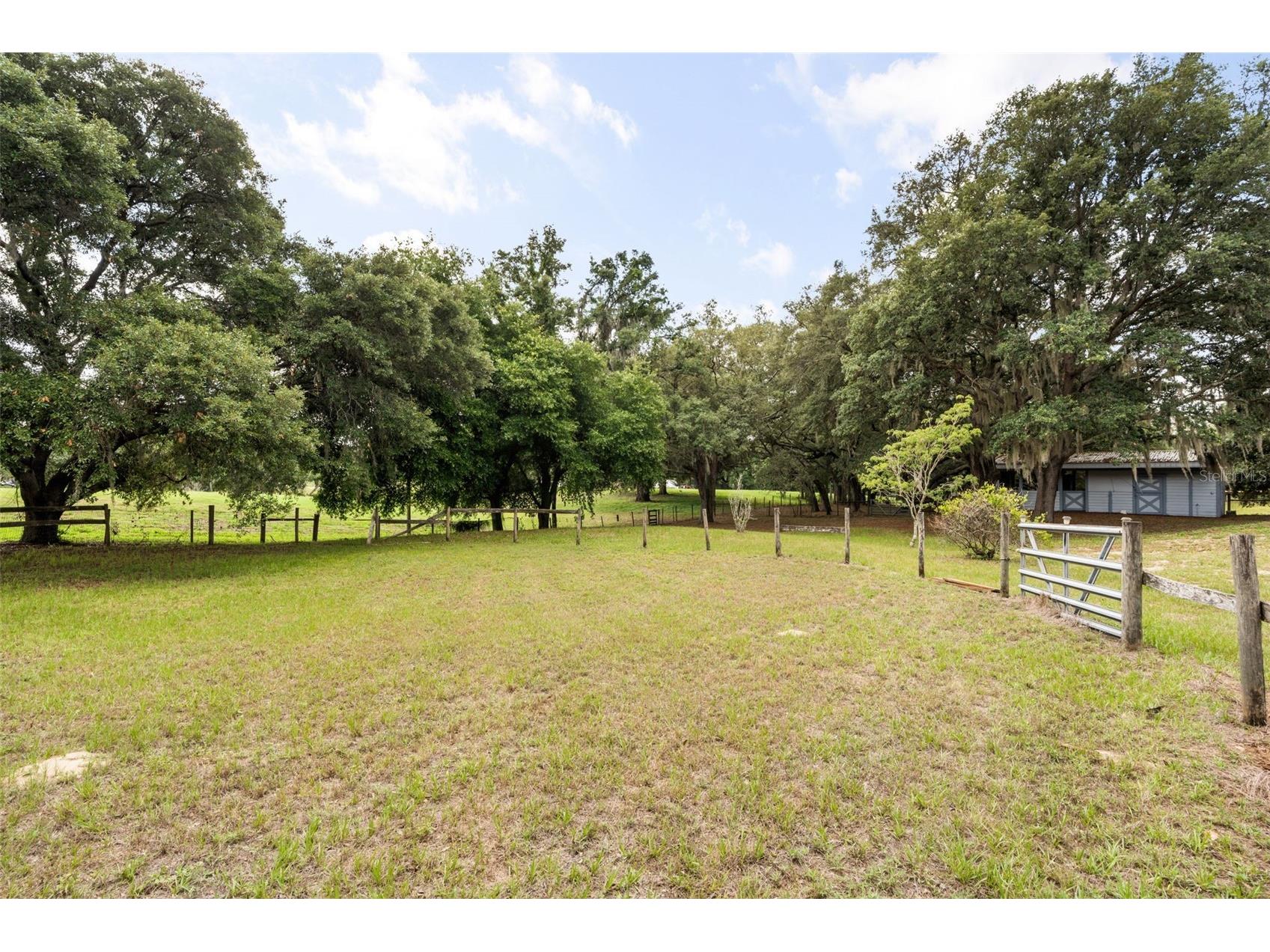 16104 Sandhill Road Winter Garden FL 34787 O6411589 image8