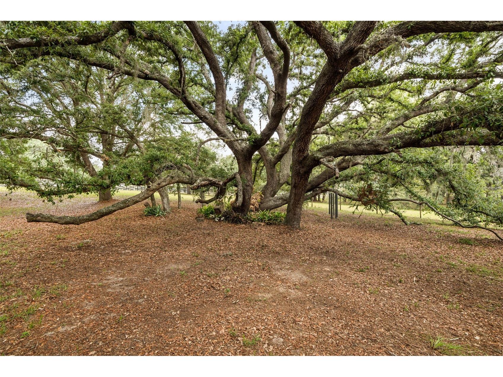 16104 Sandhill Road Winter Garden FL 34787 O6411589 image9