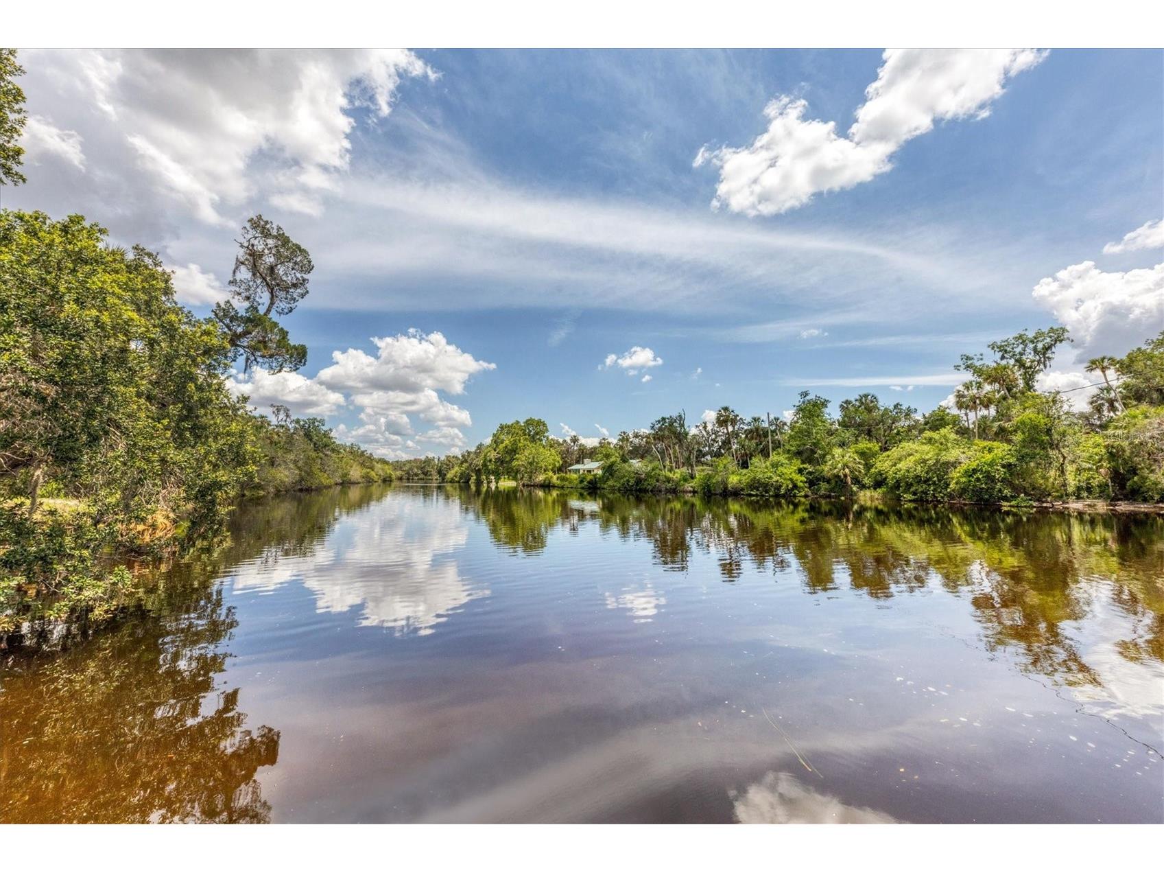 16105 31st Street E Parrish FL 34219 A4681846 image70