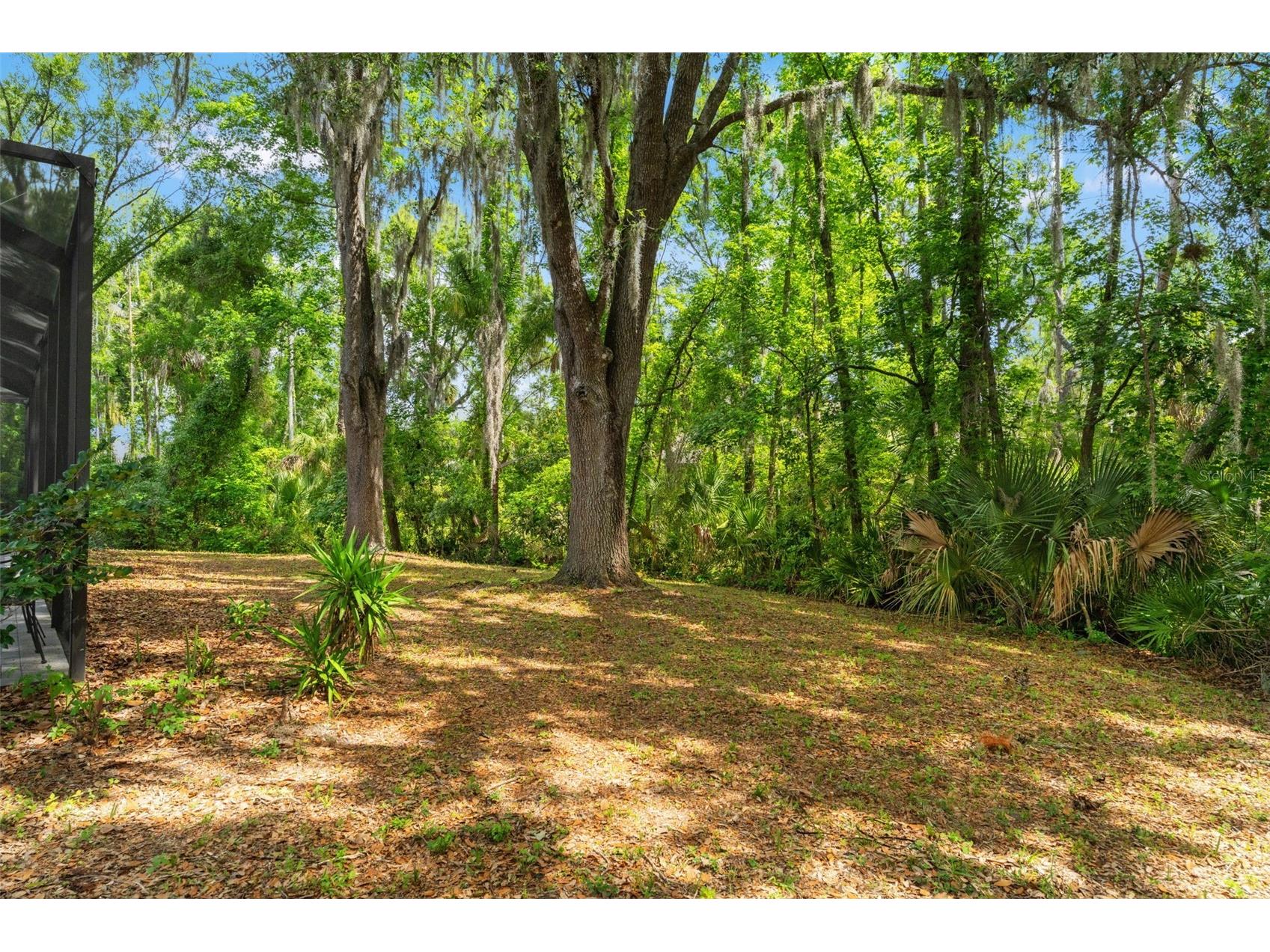 16105 Cadbury Court Tampa FL 33647 TB8496981 image50