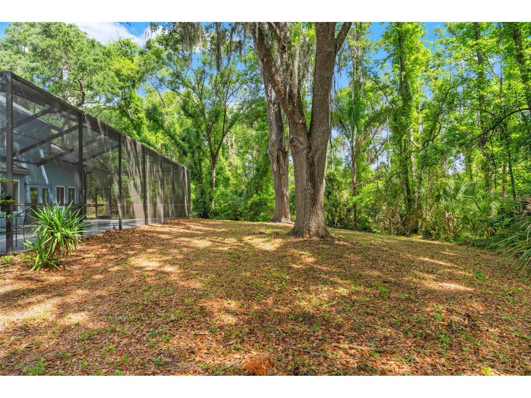 16105 Cadbury Court Tampa FL 33647 TB8496981 image51