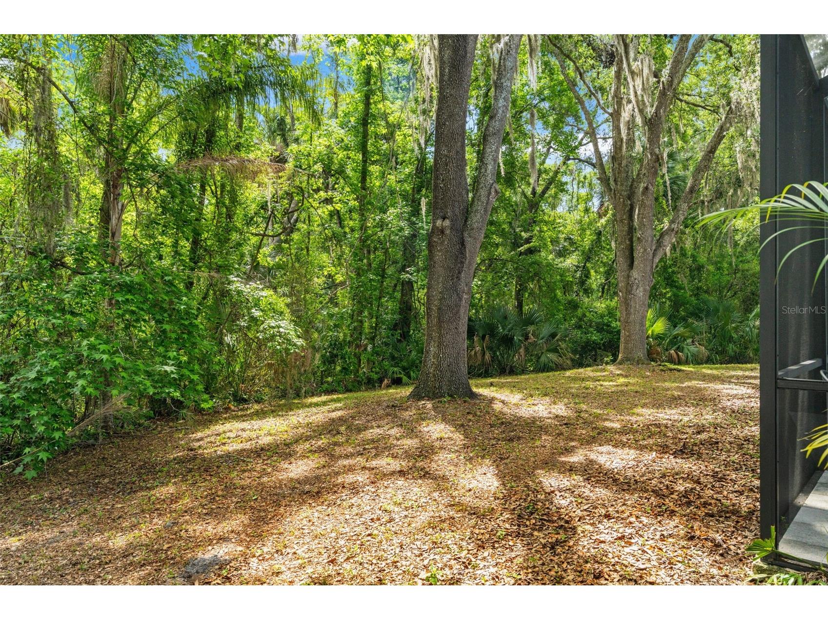 16105 Cadbury Court Tampa FL 33647 TB8496981 image55