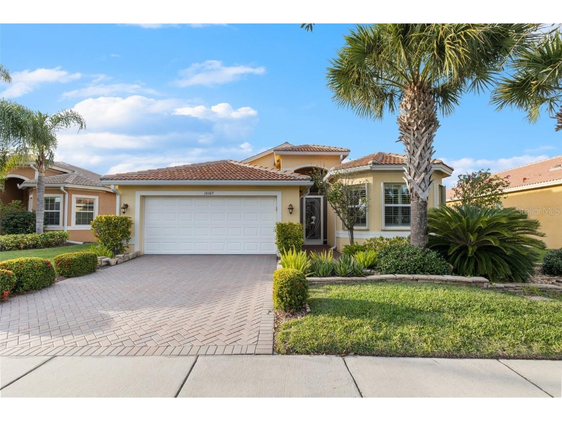 16105 Cape Coral Drive Wimauma FL 33598 U8224709 image1
