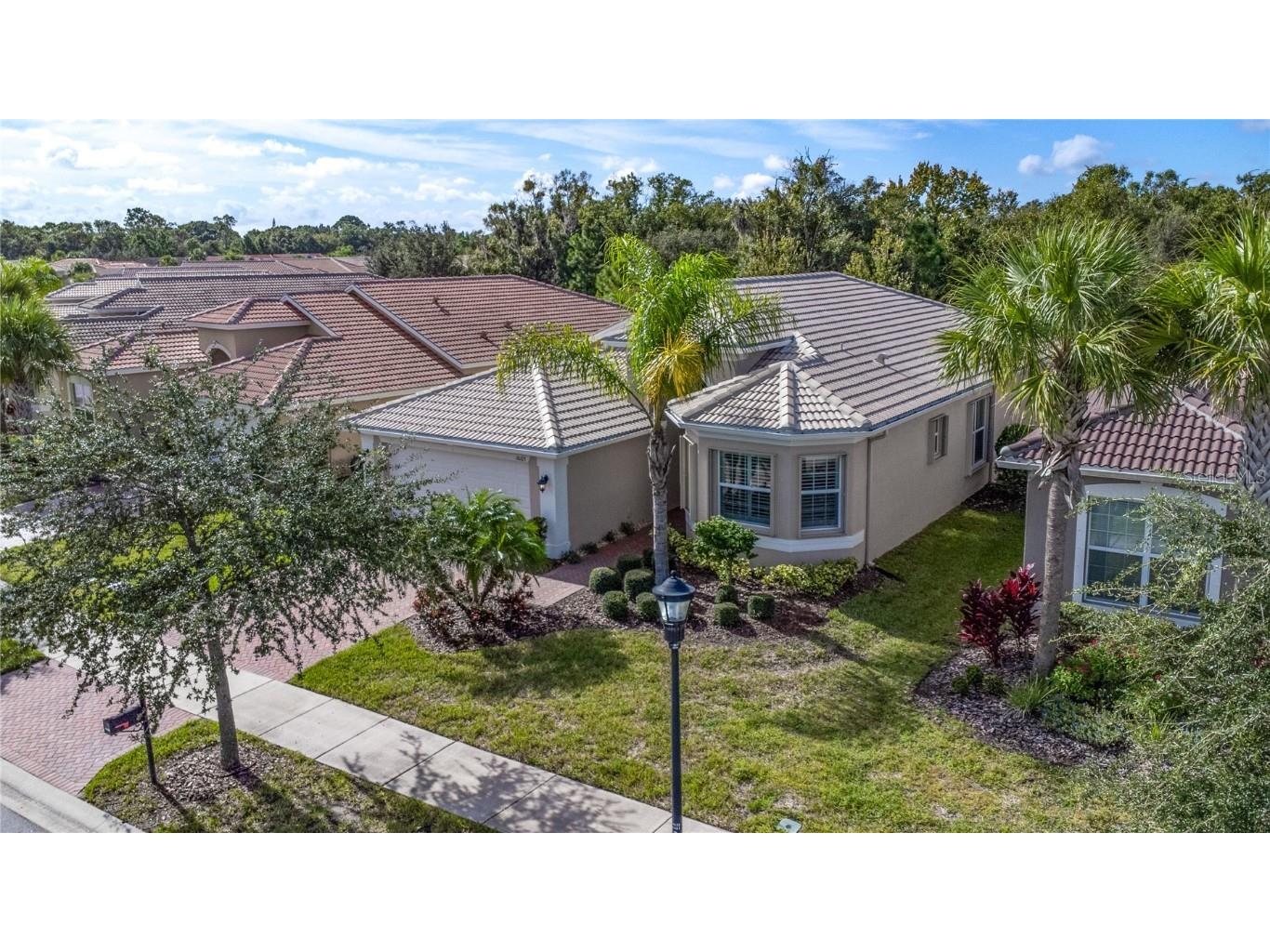 16105 Cedar Key Dr. Drive Wimauma FL 33598 T3477509 image1