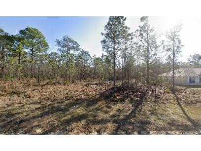 16106 Medrick Road Brooksville FL 34614 TB8367097 image1