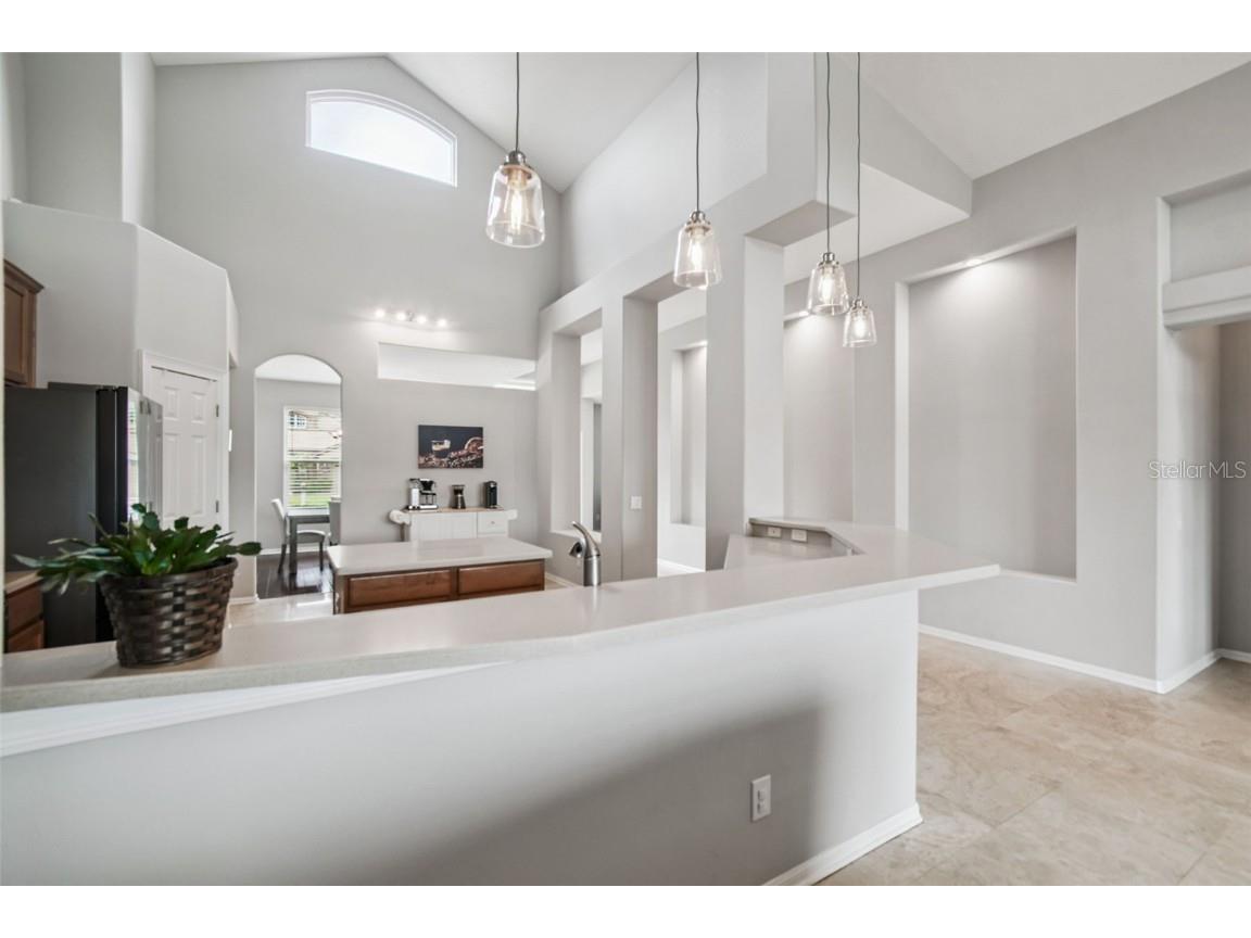 16106 Rambling Road Odessa FL 33556 TB8451362 image47