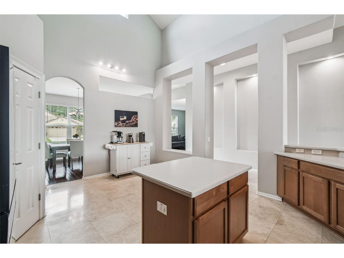 16106 Rambling Road Odessa FL 33556 TB8451362 image55