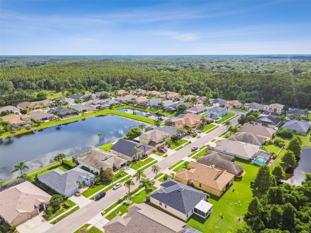 16106 Rambling Road Odessa FL 33556 TB8451362 image75