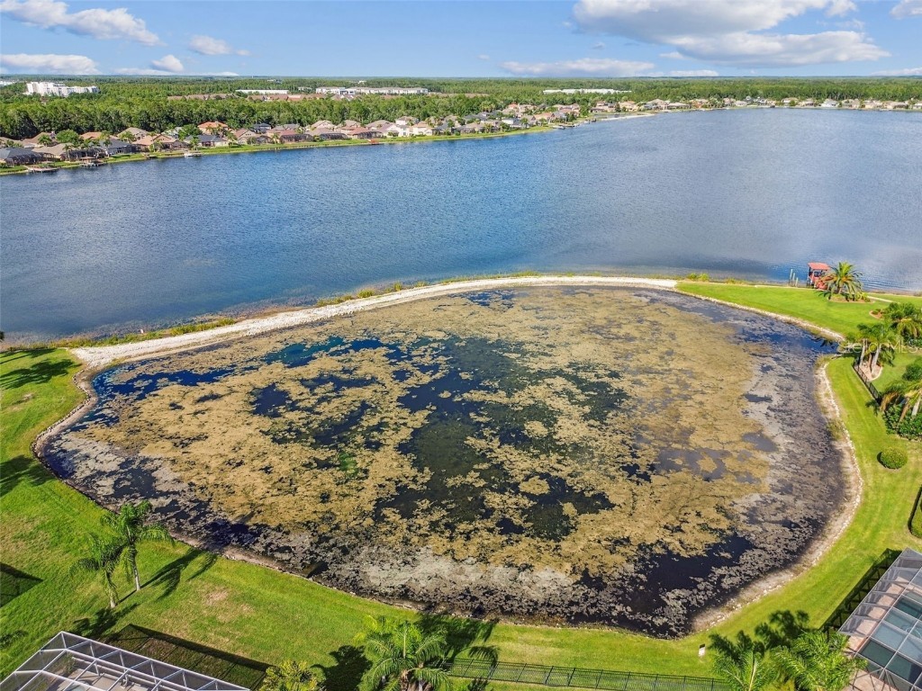 16106 Rambling Road Odessa FL 33556 TB8451362 image86