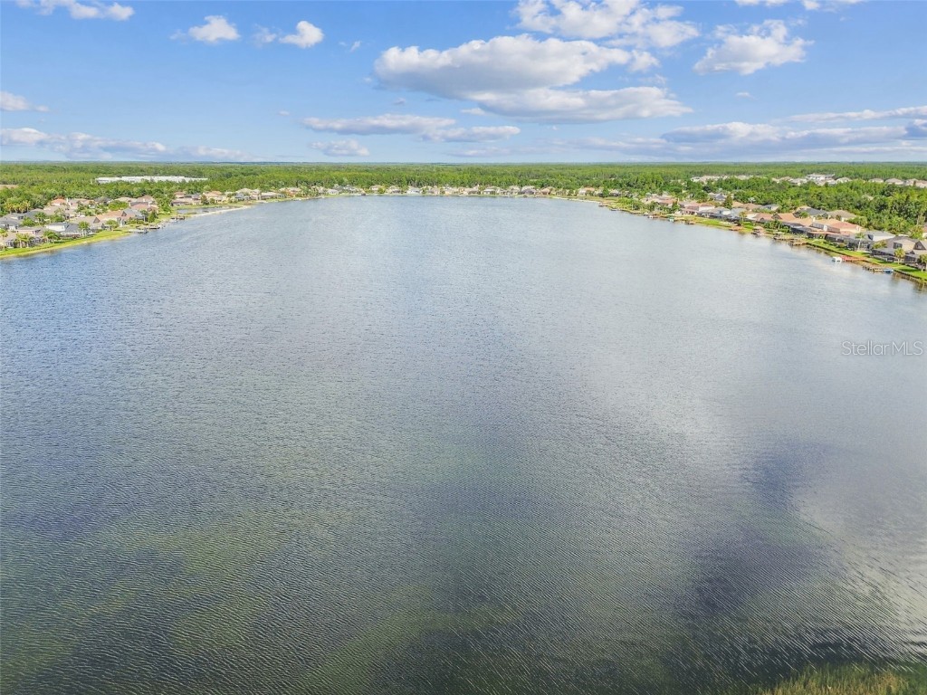 16106 Rambling Road Odessa FL 33556 TB8451362 image87