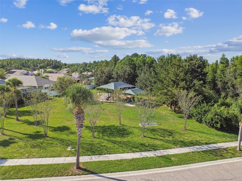 16106 Rambling Road Odessa FL 33556 TB8451362 image88