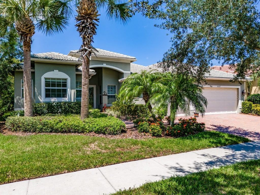 16107 Diamond Bay Drive Wimauma FL 33598 T3459779 image1