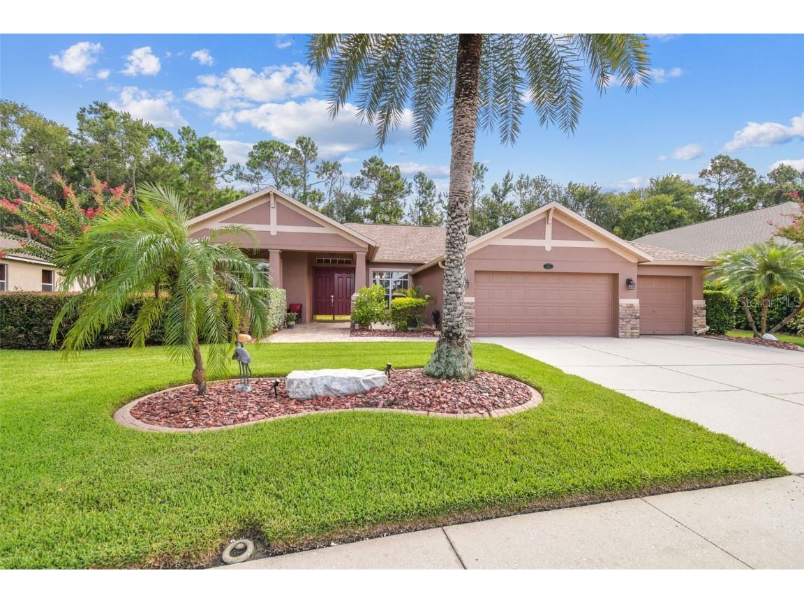16108 Ivy Lake Drive Odessa FL 33556 TB8411254 image1