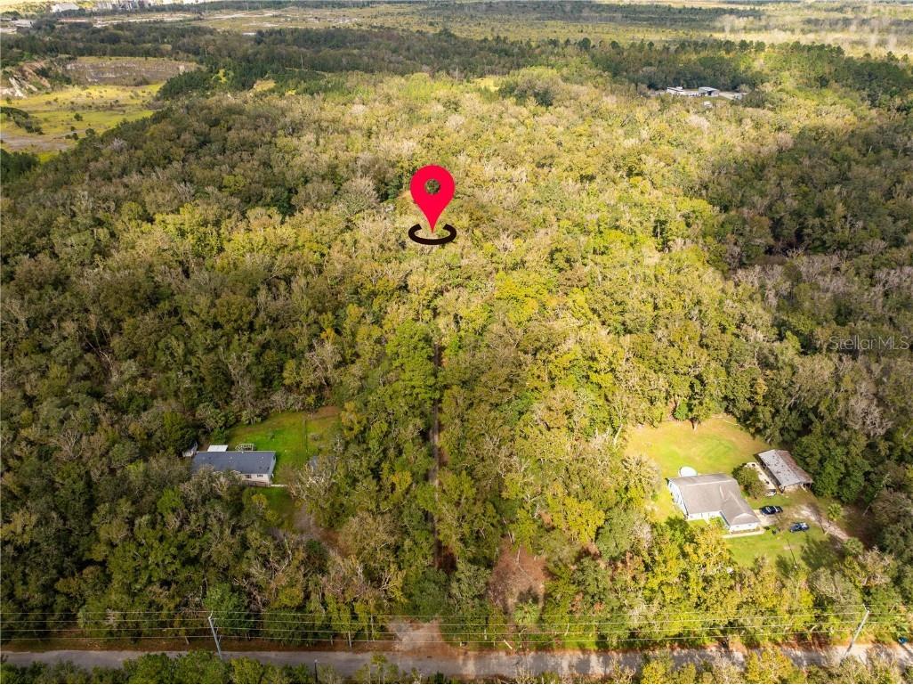 16109 Buczak Road Brooksville FL 34614 TB8323609 image1