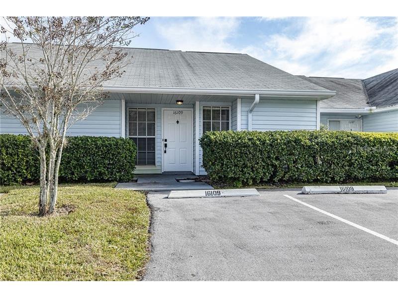 16109 Rambling Vine Drive E Tampa FL 33624 T3426104 image1