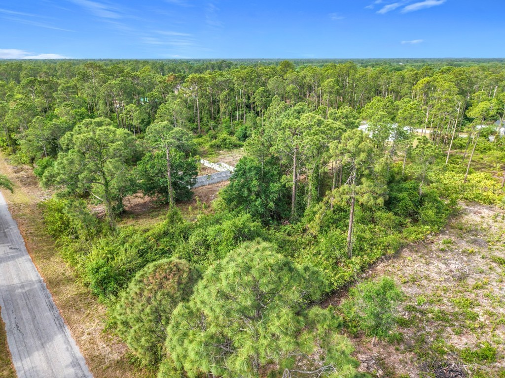 1611 8th Avenue Lehigh Acres FL 33972 O6292594 image14