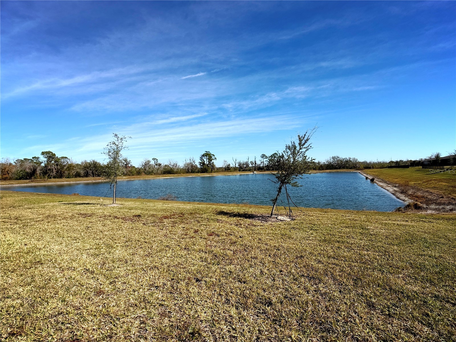 1611 Bark Ridge Drive Auburndale FL 33823 O6376216 image30