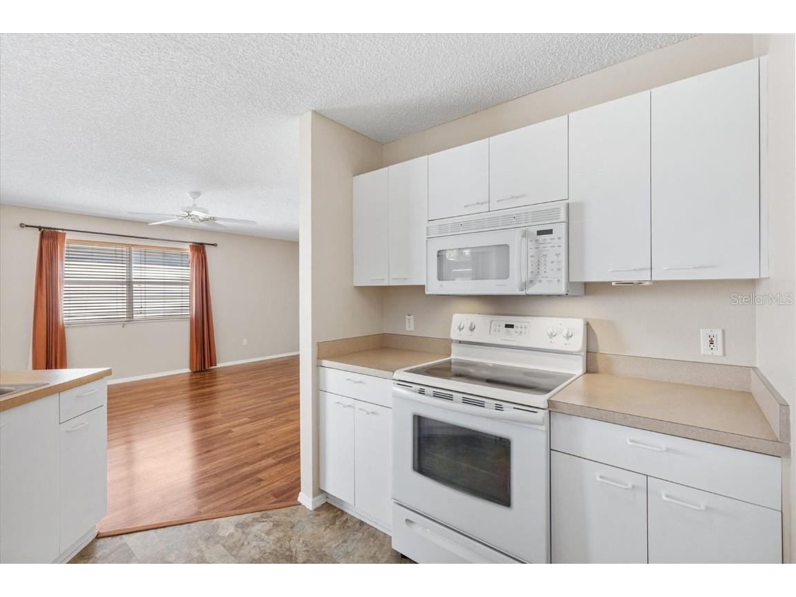 1611 Campos Drive The Villages FL 32162 G5103090 image13