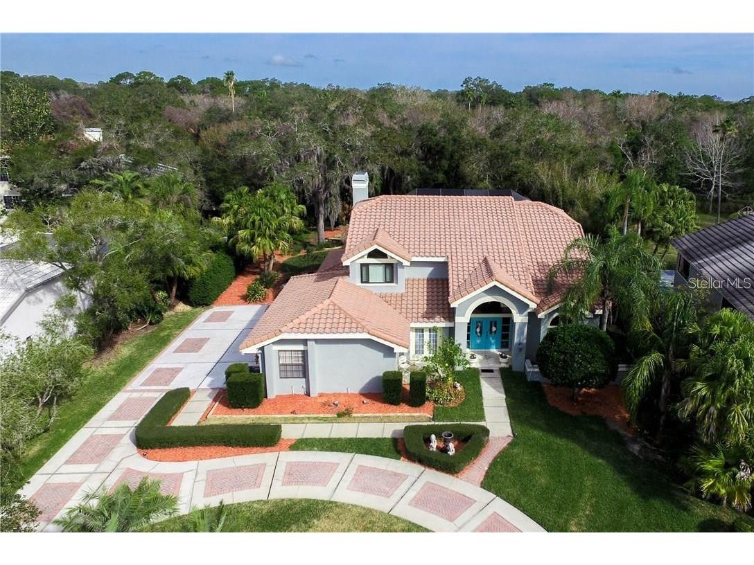 1611 Hampton Court Safety Harbor FL 34695 - CREEK U8214811 image1