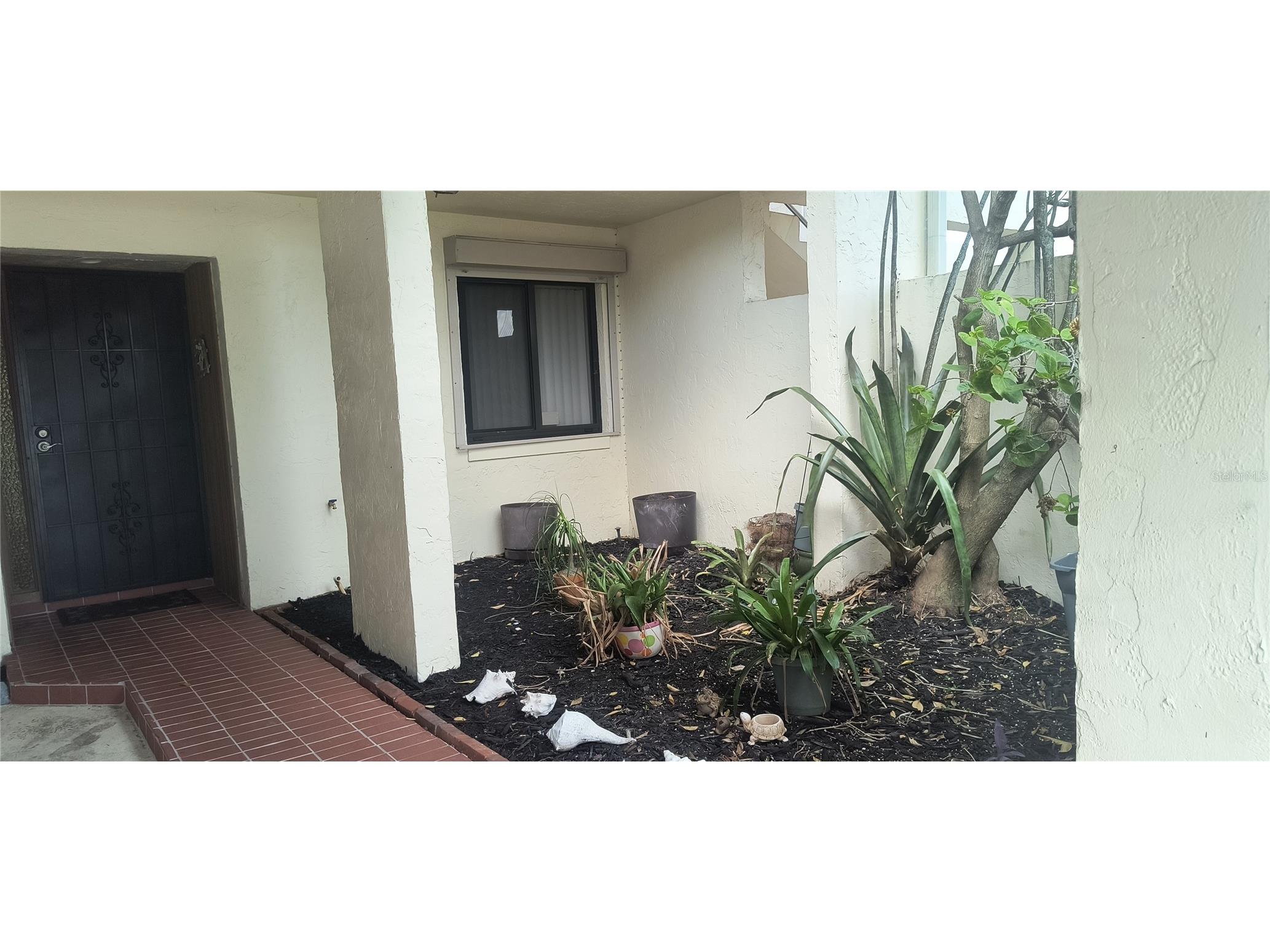 1611 Minutemen Causeway #111 Cocoa Beach FL 32931 O6387491 image4