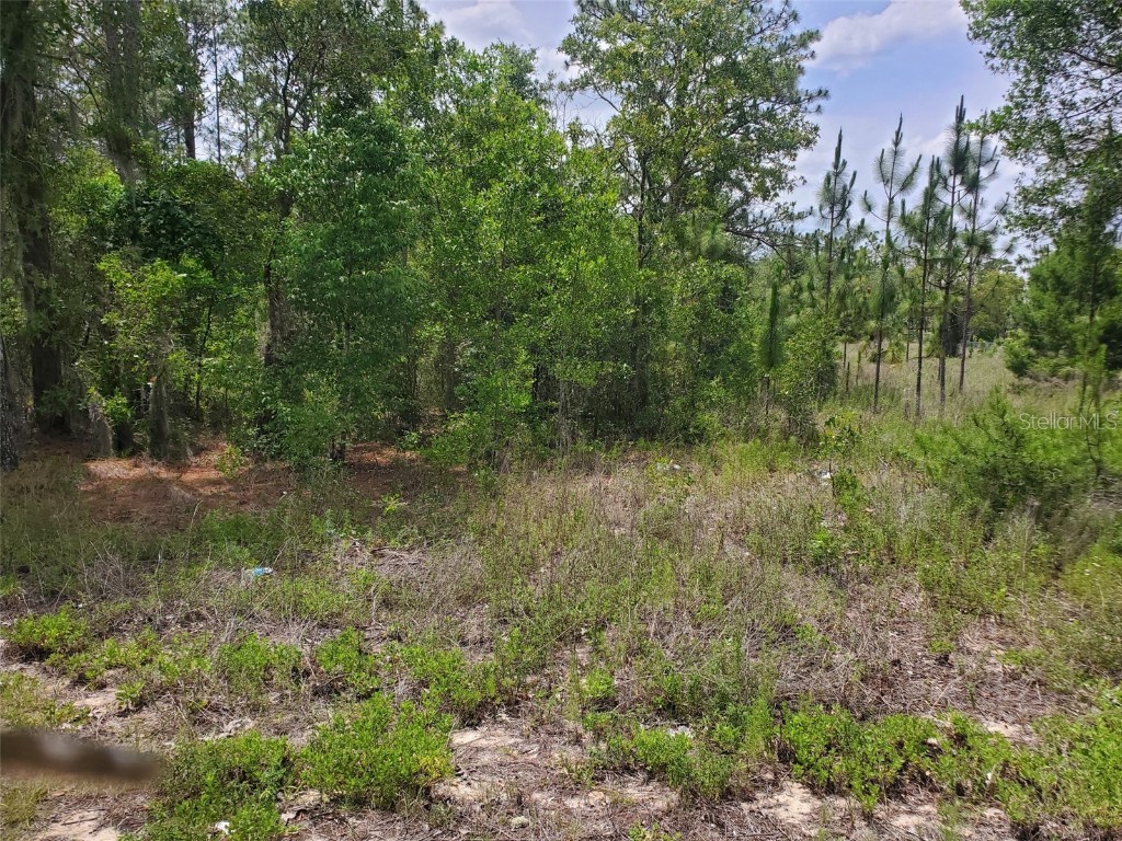 1611 NE State Road 121 Williston FL 32696 OM639888 image1