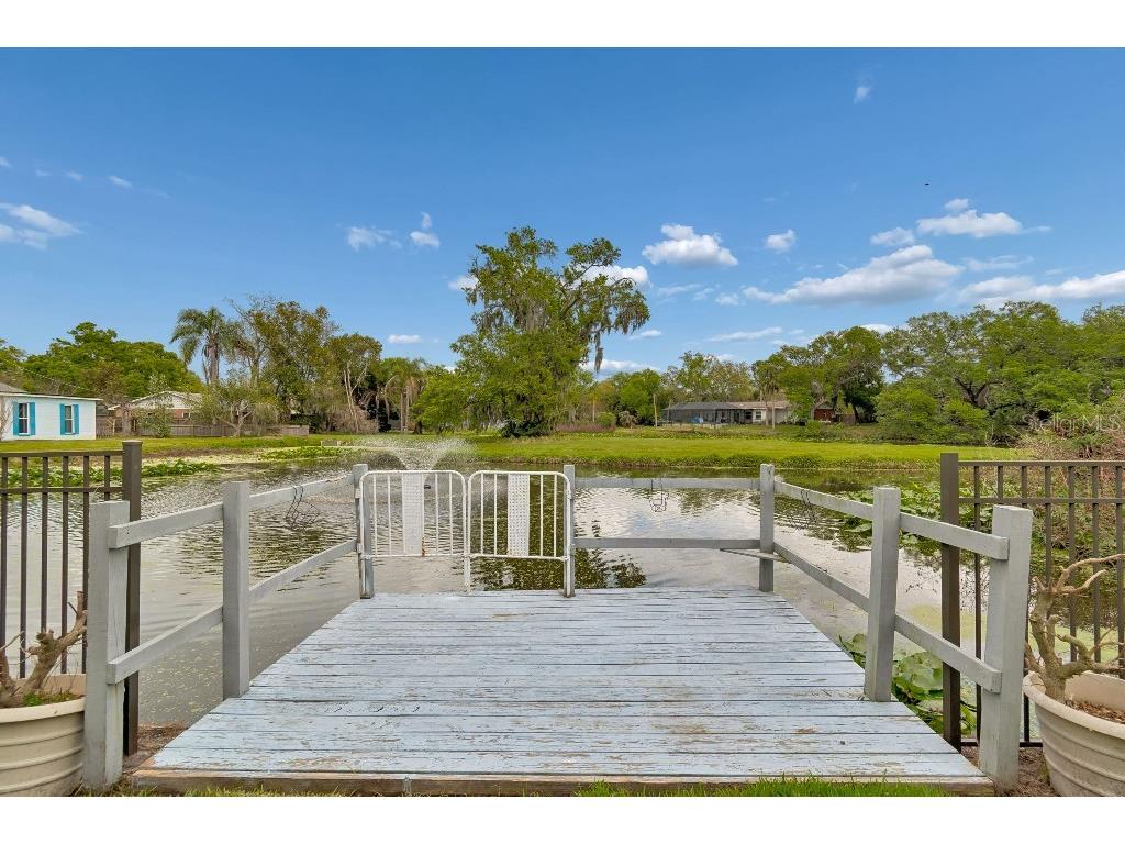 1611 Sunnyhills Drive Brandon FL 33510 TB8484590 image37