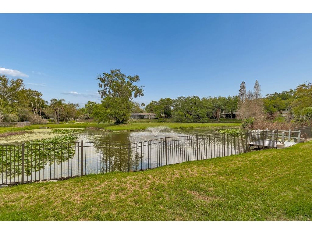 1611 Sunnyhills Drive Brandon FL 33510 TB8484590 image40