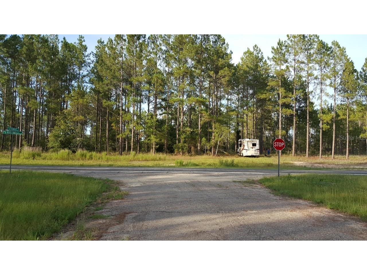 1611 W G Martinelli Boulevard Citrus Springs FL 34434 O6361186 image1