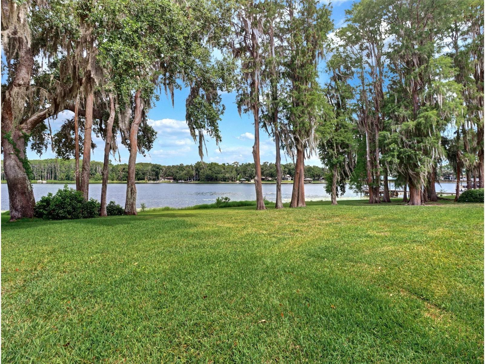 16110 Armistead Lane Odessa FL 33556 - LAKE ARMISTEAD TB8523268 image55