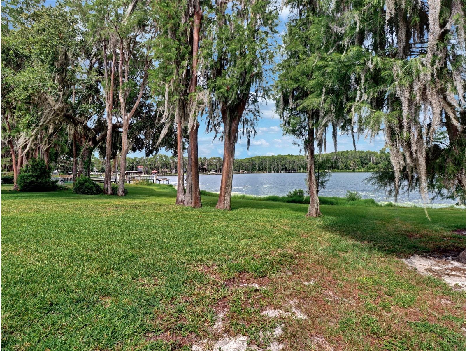 16110 Armistead Lane Odessa FL 33556 - LAKE ARMISTEAD TB8523268 image56