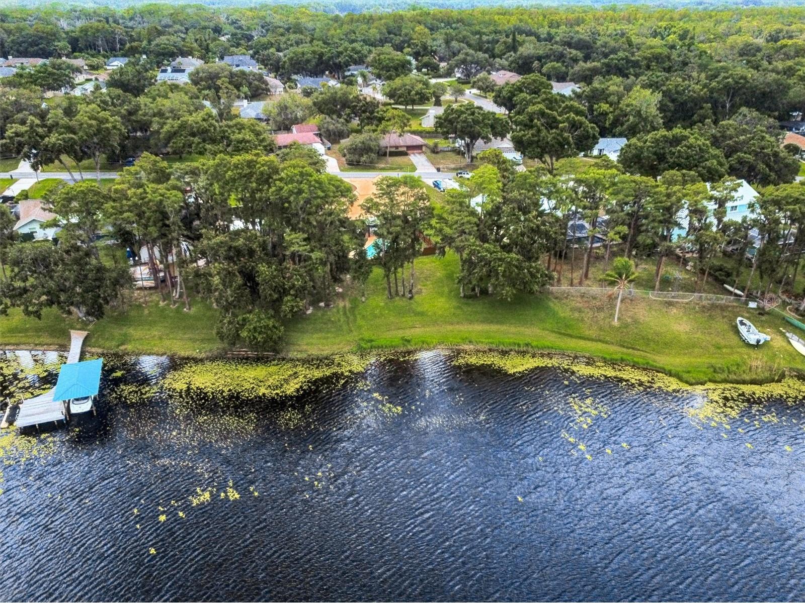 16110 Armistead Lane Odessa FL 33556 - LAKE ARMISTEAD TB8523268 image58