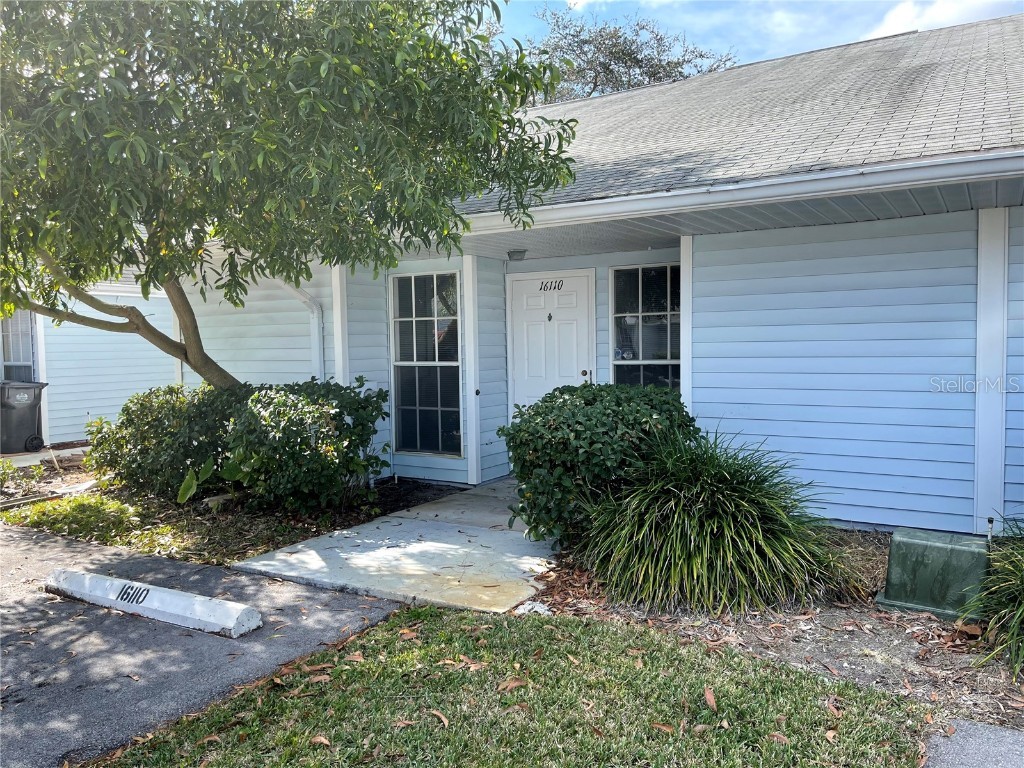 16110 Rambling Vine Drive E Tampa FL 33624 T3441662 image1