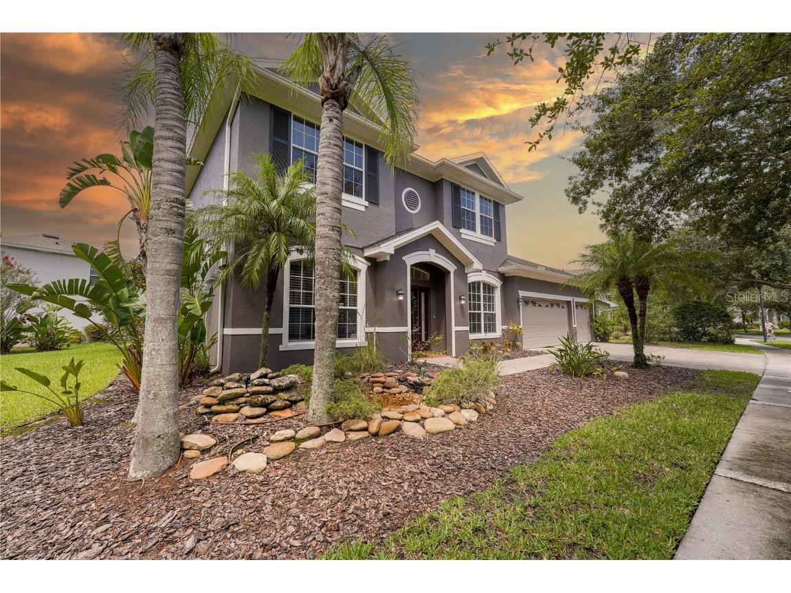 16111 Colchester Palms Drive Tampa FL 33647 T3460186 image1