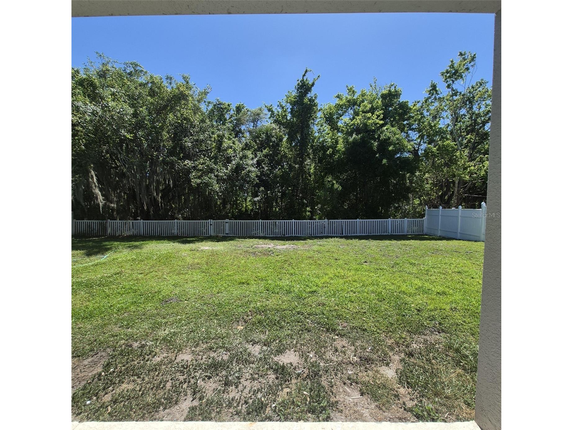 16112 Birchwood Way Orlando FL 32828 O6399282 image43