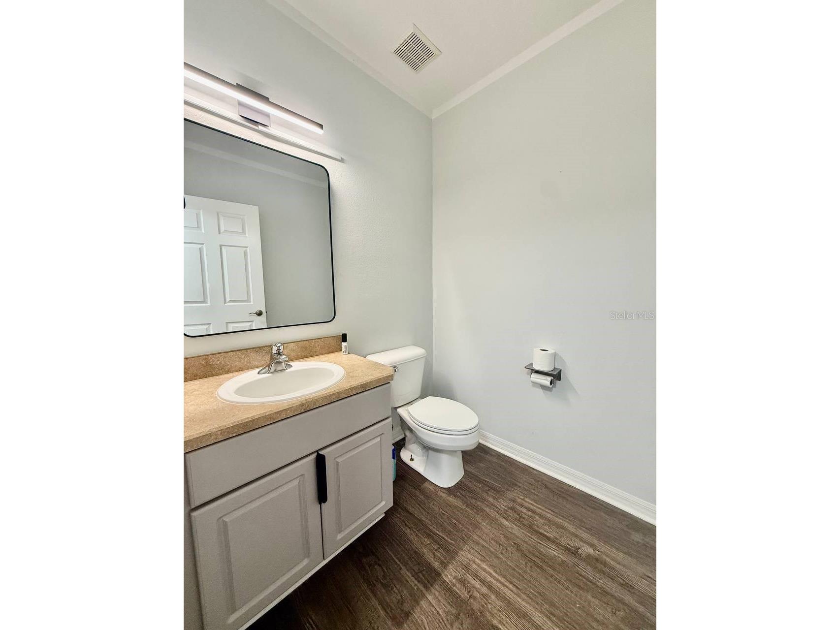16112 Loneoak View Drive Lithia FL 33547 TB8505210 image22