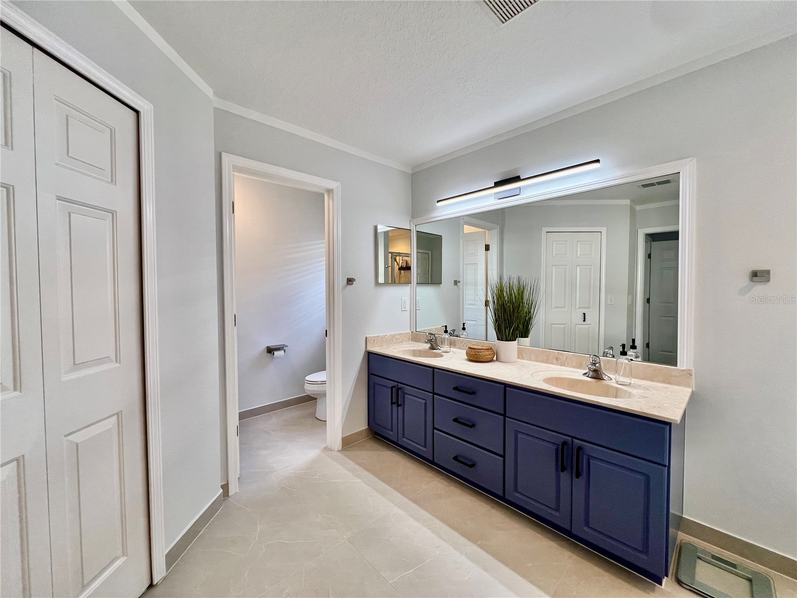 16112 Loneoak View Drive Lithia FL 33547 TB8505210 image38