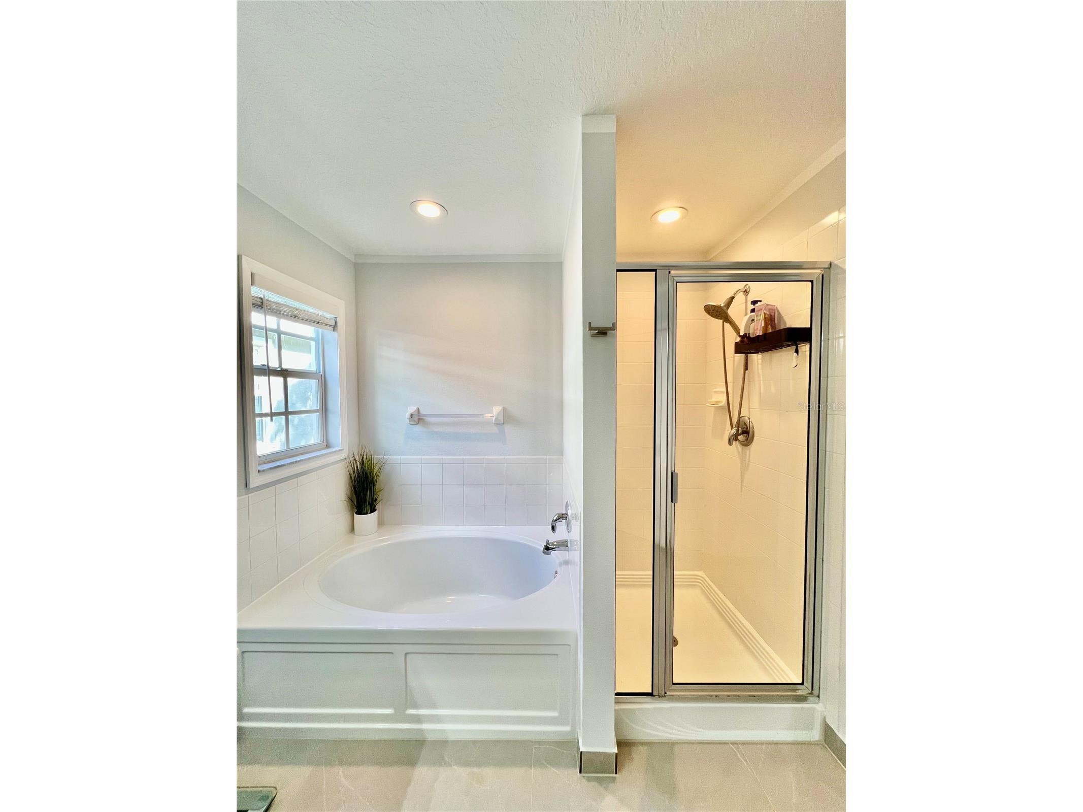 16112 Loneoak View Drive Lithia FL 33547 TB8505210 image39