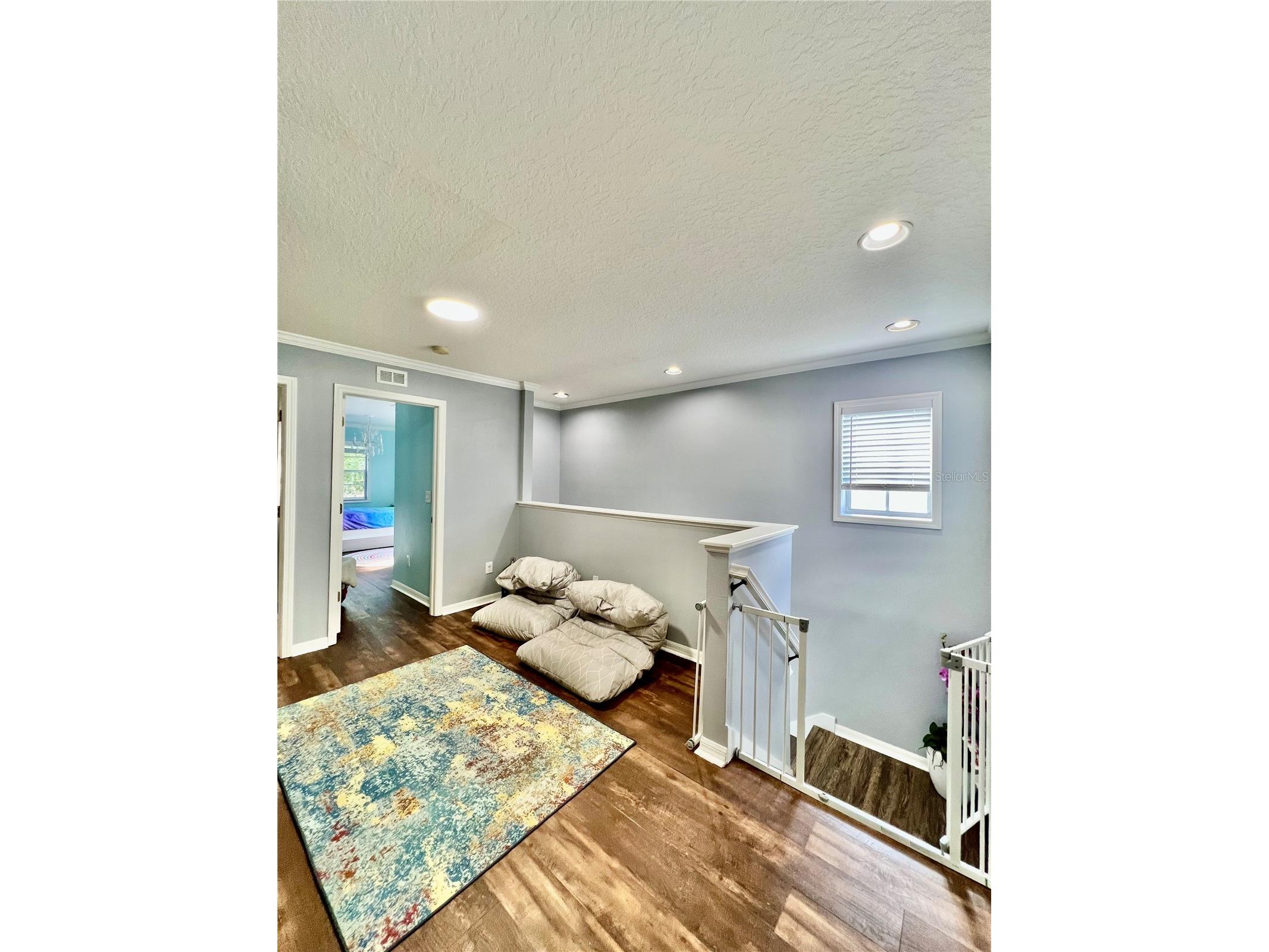 16112 Loneoak View Drive Lithia FL 33547 TB8505210 image42