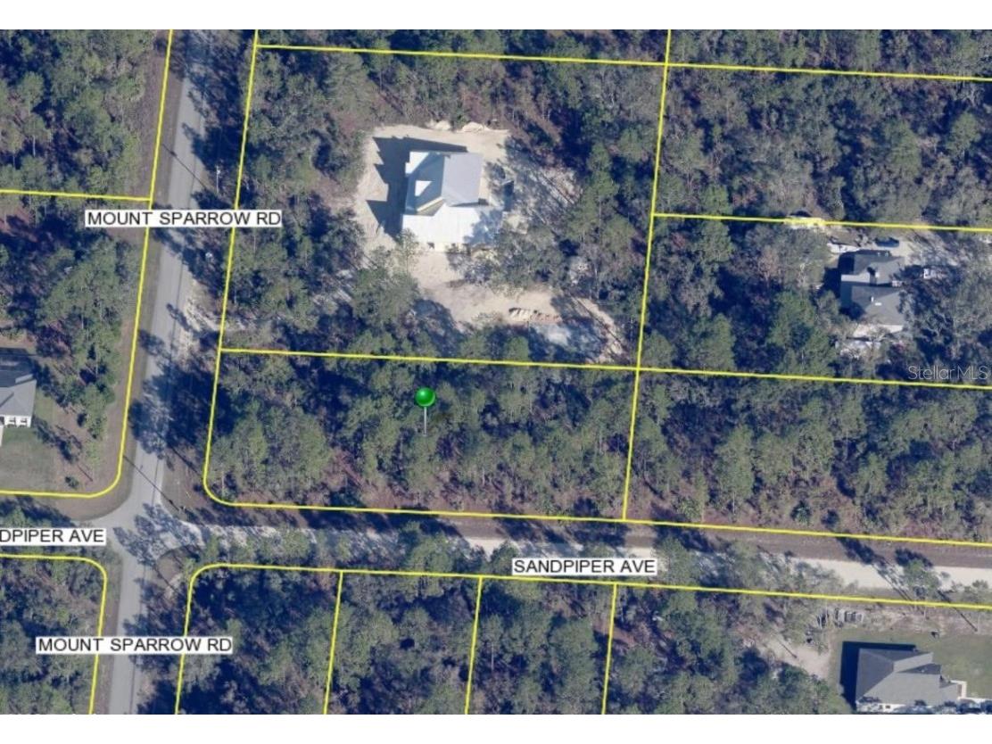 16112 Mount Sparrow Road Weeki Wachee FL 34614 W7873742 image1