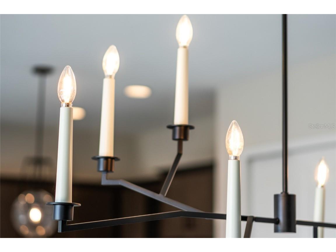 16112 Vetta Drive Montverde FL 34756 O6279669 image31