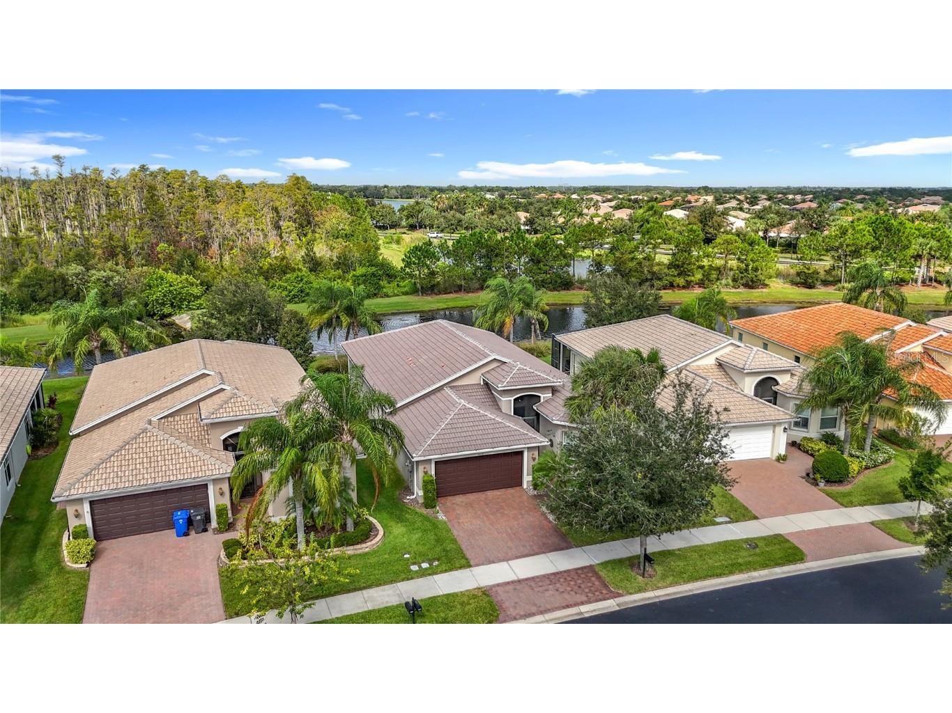 16113 Cape Coral Drive Wimauma FL 33598 TB8433984 image1